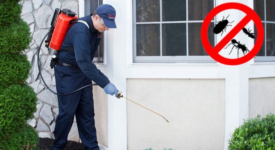 Çayırlı Tahtakurusu İlaçlama böcek ilaçlama ve haşere kontrolü — ilaclama-tr.com